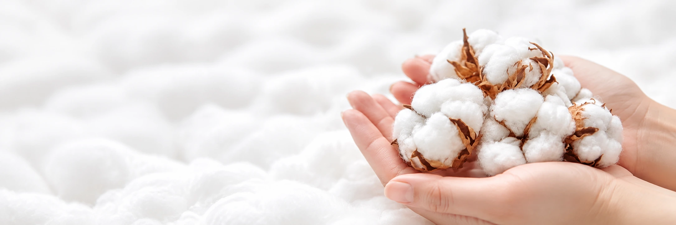 Barakat Cotton Applications