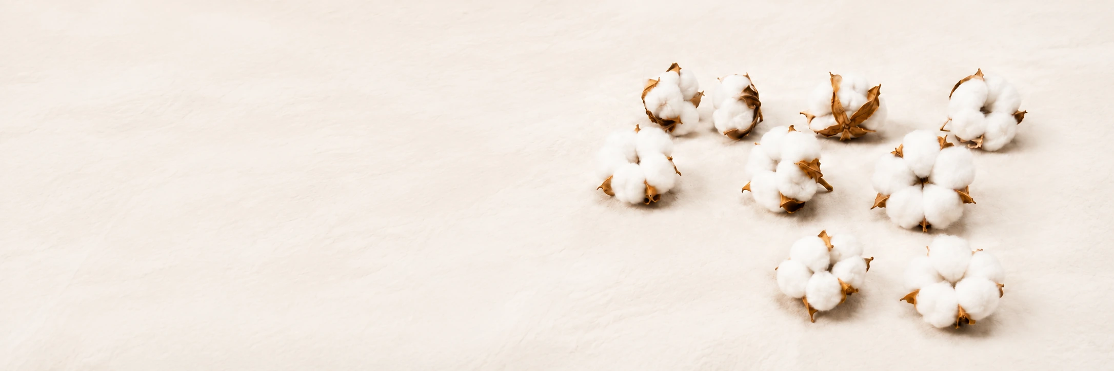 Barakat Cotton Production